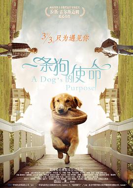 欧美综合在线观看视频