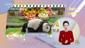 91看片网址